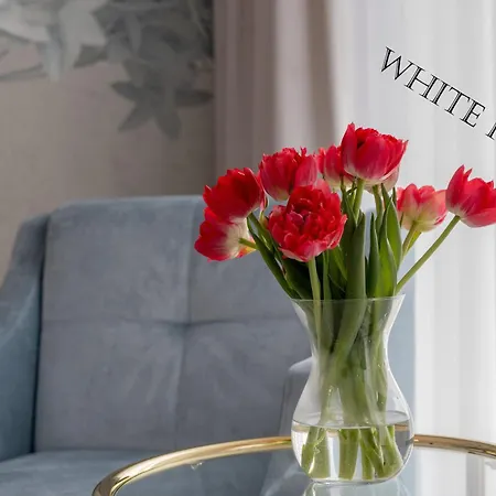 White House Blekitny 4 شقة *